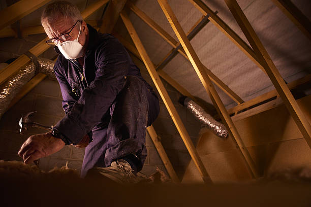 Best Eco-Friendly Insulation in San Gabriel, CA